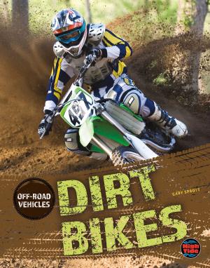 Cover of the book Dirt Bikes by Janet Slingerland