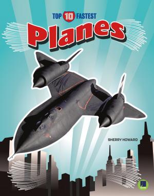 Cover of the book Planes by Ann Matzke