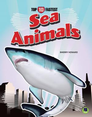 Cover of the book Sea Animals by Theo Baker