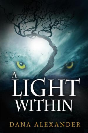 Cover of the book A Light Within by Marshall Chamberlain