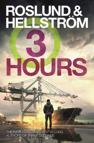 Cover of the book Three Hours by Jón Kalman Stefánsson