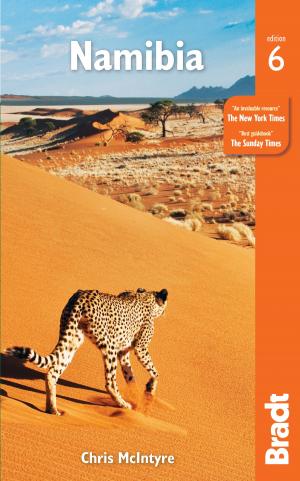 Cover of the book Namibia by Mike Bagshaw