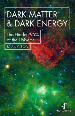 Book cover of Dark Matter and Dark Energy