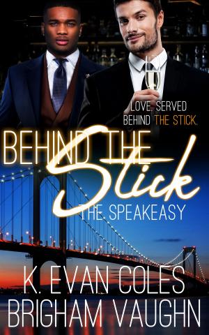 Cover of the book Behind the Stick by Desiree Holt