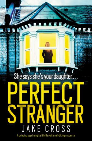 Cover of the book Perfect Stranger by Stephen Edger