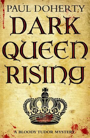 Cover of the book Dark Queen Rising by Dave Simpson, 