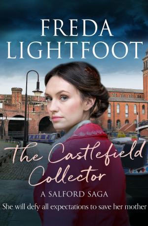 Book cover of The Castlefield Collector