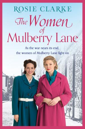 Cover of the book The Women of Mulberry Lane by Mirko Tondi