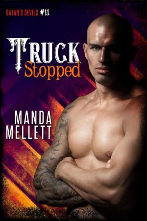 Book cover of Truck Stopped