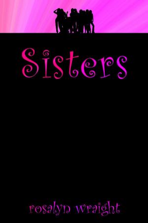 Cover of the book Sisters by V.E. Mitchell