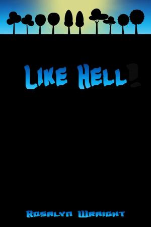 Cover of Like Hell