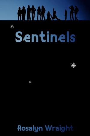 Book cover of Sentinels