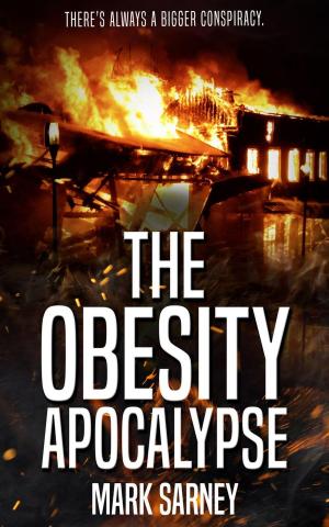 Book cover of The Obesity Apocalypse