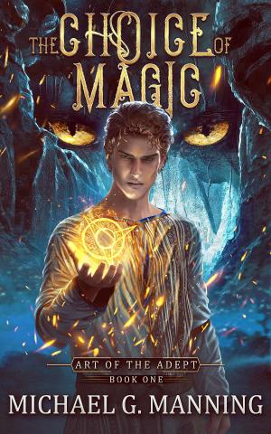 Cover of the book The Choice of Magic by G.N.Paradis