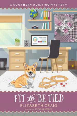 Cover of the book Fit to Be Tied by Elizabeth Craig