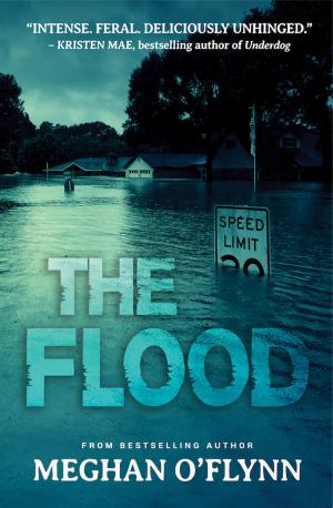 Cover of the book The Flood by Gary Corbin