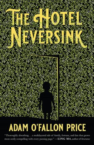 Cover of the book The Hotel Neversink by Gwenaelle Aubry