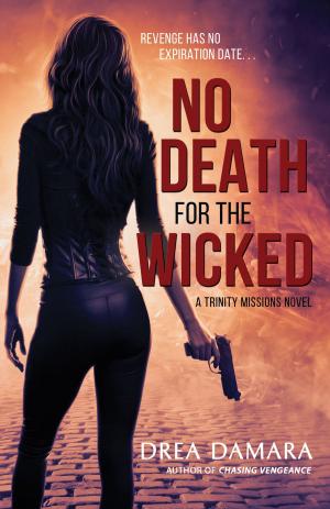 Cover of the book No Death for the Wicked by J. Whitworth Hazzard