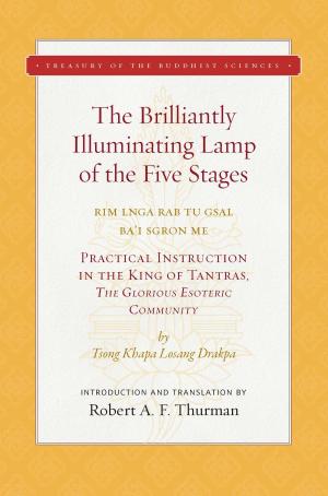 Cover of the book The Brilliantly Illuminating Lamp of the Five Stages by Bhante Henepola Gunaratana