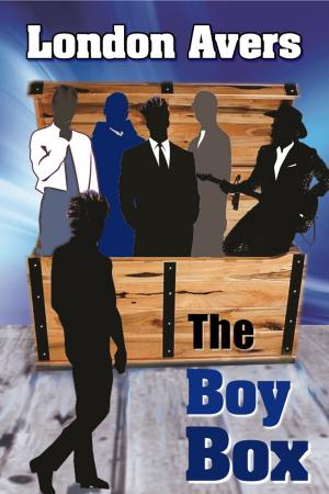 Cover of the book The Boy Box by Judith Ashley