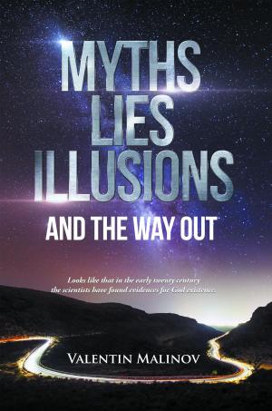 Cover of the book Myths Lies Illusions And The Way Out by Terrence Hill