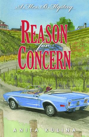 Cover of the book Reason for Concern by Richard Sanders