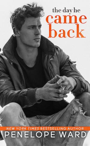 Cover of the book The Day He Came Back by Kayce Lassiter