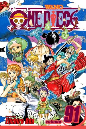 Book cover of One Piece, Vol. 91