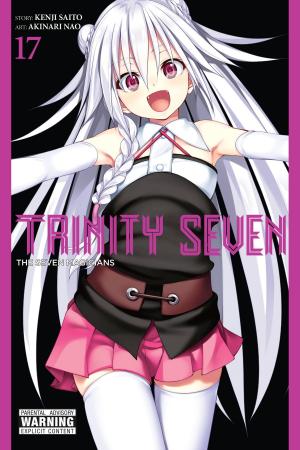 Cover of the book Trinity Seven, Vol. 17 by Nagaru Tanigawa, Noizi Ito