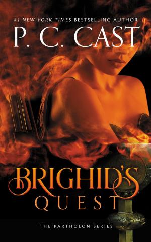 Cover of the book Brighid’s Quest by Jonathan Valin