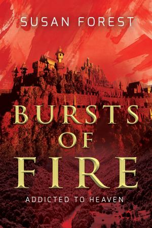 Book cover of Bursts of Fire