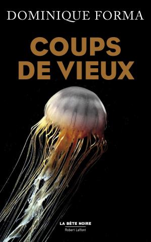 Cover of the book Coups de vieux by Janine BOISSARD