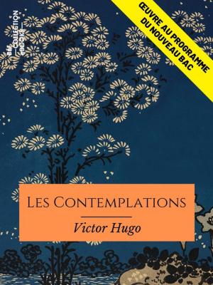 Cover of the book Les Contemplations by Eugène Chavette