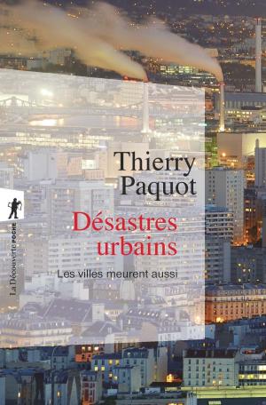 Cover of the book Désastres urbains by Sylvie DUCAS