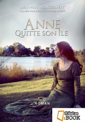 Book cover of Anne quitte son île