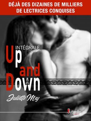 Cover of the book Up and Down - Intégrale Saison 1 2 3 et 4 by Julie Daguette