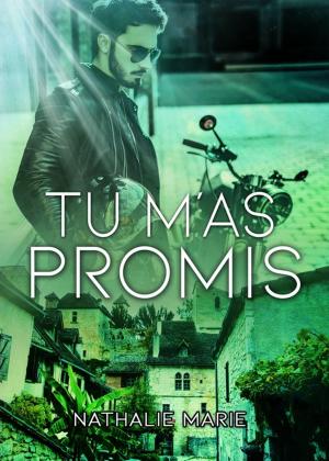 Cover of the book Tu m'as promis by Graylin Fox, Graylin Rane