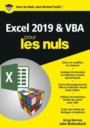 Book cover of Excel 2019 & VBA pour les Nuls, mégapoche