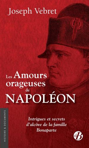 Book cover of Les Amours orageuses de Napoléon