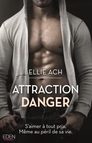 Cover of the book Attraction danger by Paul Ramirez