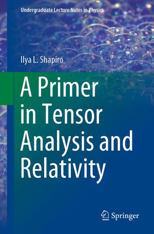 Cover of the book A Primer in Tensor Analysis and Relativity by Nadine Zipperle