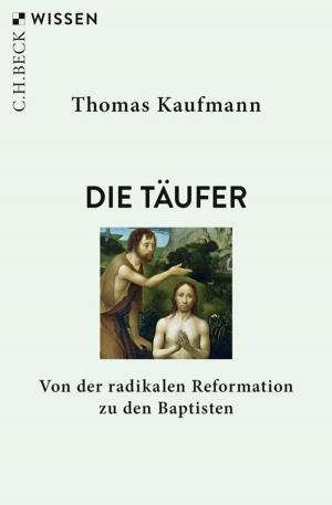 Cover of the book Die Täufer by Hermann Kurzke