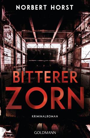 Book cover of Bitterer Zorn