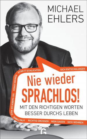 Cover of the book Nie wieder sprachlos! by Fabian Vogt, Thees Carstens