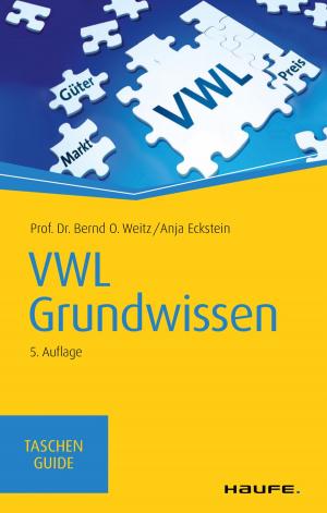Cover of the book VWL Grundwissen by Mark Evans