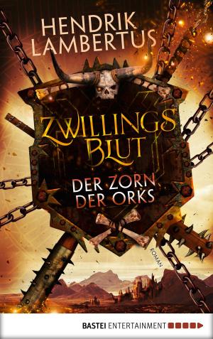 Book cover of Zwillingsblut - Der Zorn der Orks