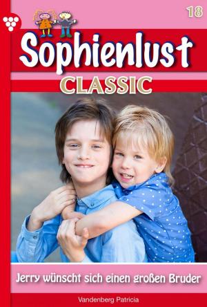 bigCover of the book Sophienlust Classic 18 – Familienroman by 