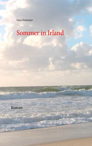 Cover of the book Sommer in Irland by Andre Sternberg