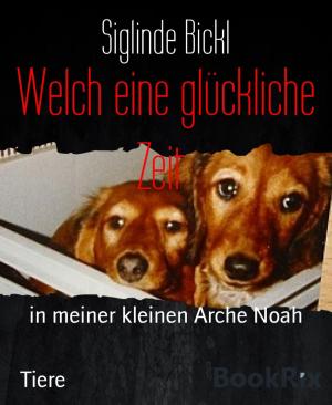 Cover of the book Welch eine glückliche Zeit by Paul White