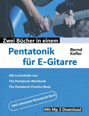 Book cover of Pentatonik für E-Gitarre